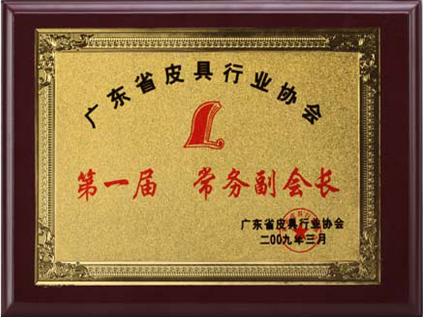 91av榮譽（yù）：廣東省皮具行業協會常務副會長